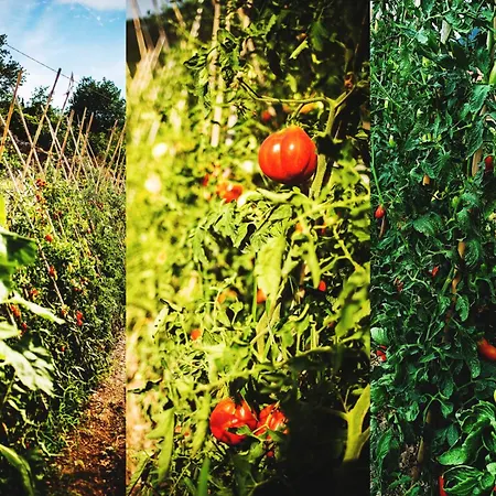 Al Beo Finale Ligure