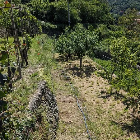 Al Beo 招待所 菲纳莱利古雷