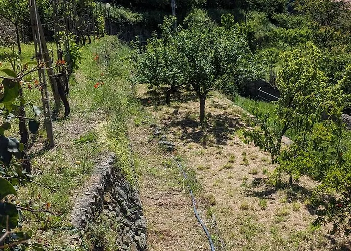 Al Beo בית הארחה פינאלה ליגורה